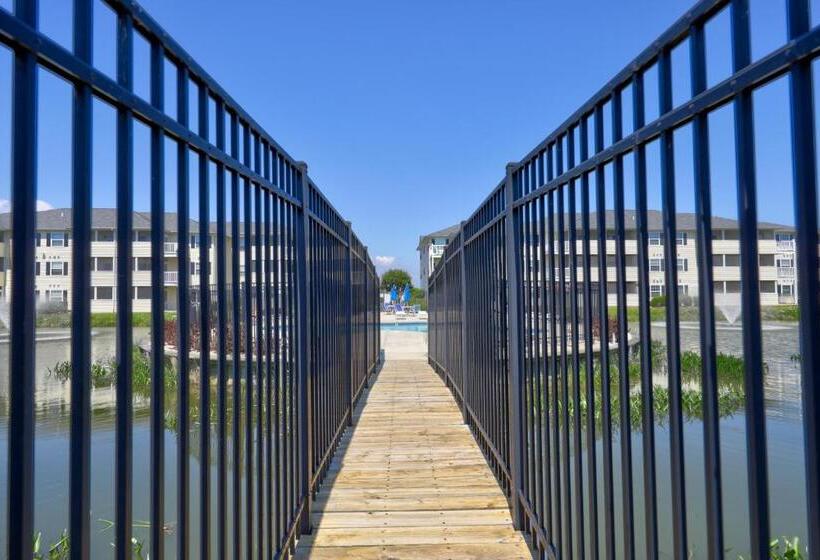 فندق The Palms   36525 Palm #5201