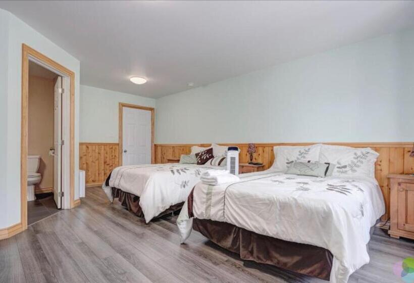 Мотель Hébergement Chez Le D