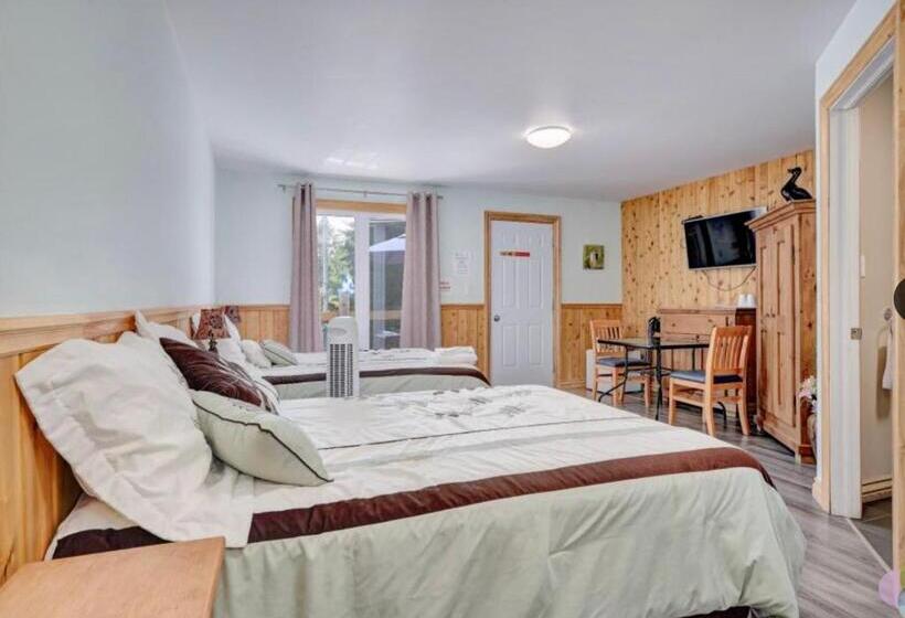 Мотель Hébergement Chez Le D