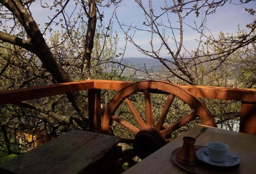 پانسیون Bungalows Old Town