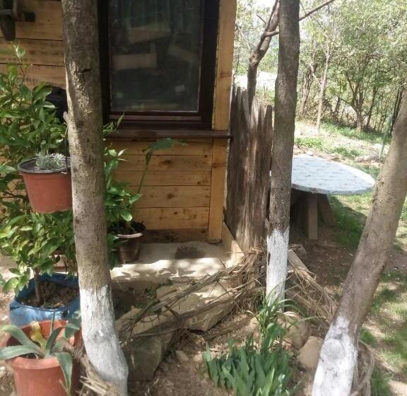 پانسیون Bungalows Old Town