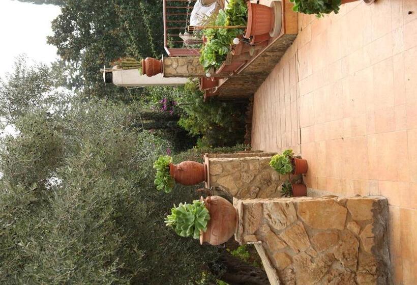 B&b Villa Casablanca