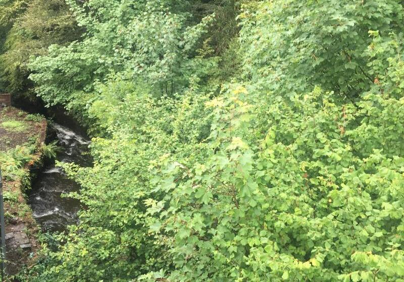 مبيت وإفطار Glencree