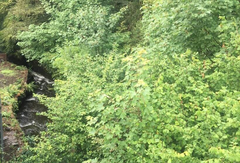 مبيت وإفطار Glencree