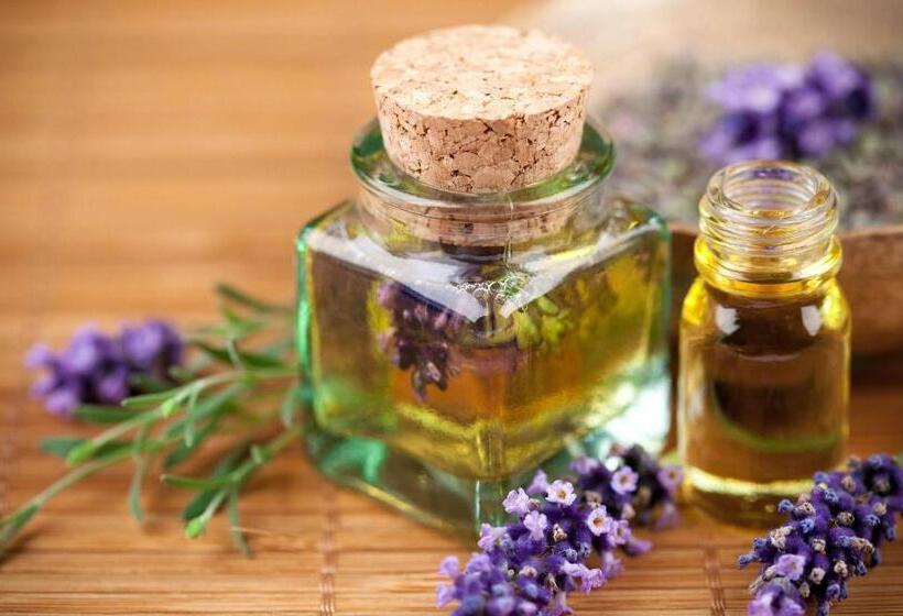 ホテル Grand Terme