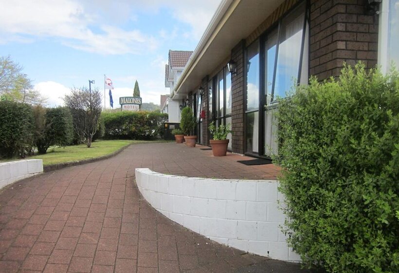 Отель Ace Motor Lodge