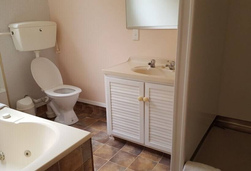 Отель Ace Motor Lodge