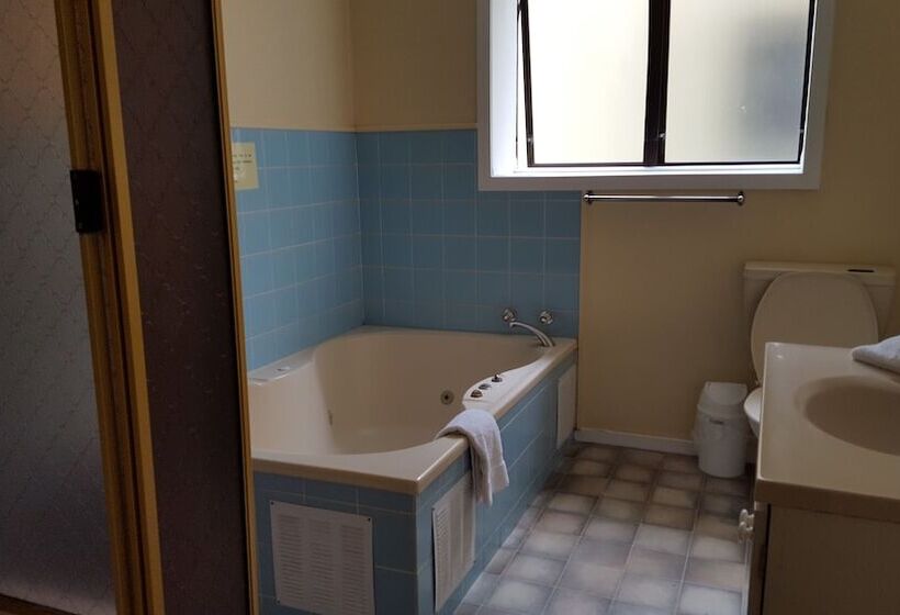 Отель Ace Motor Lodge