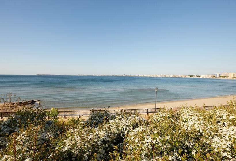 Отель Dreams Sunny Beach Resort & Spa