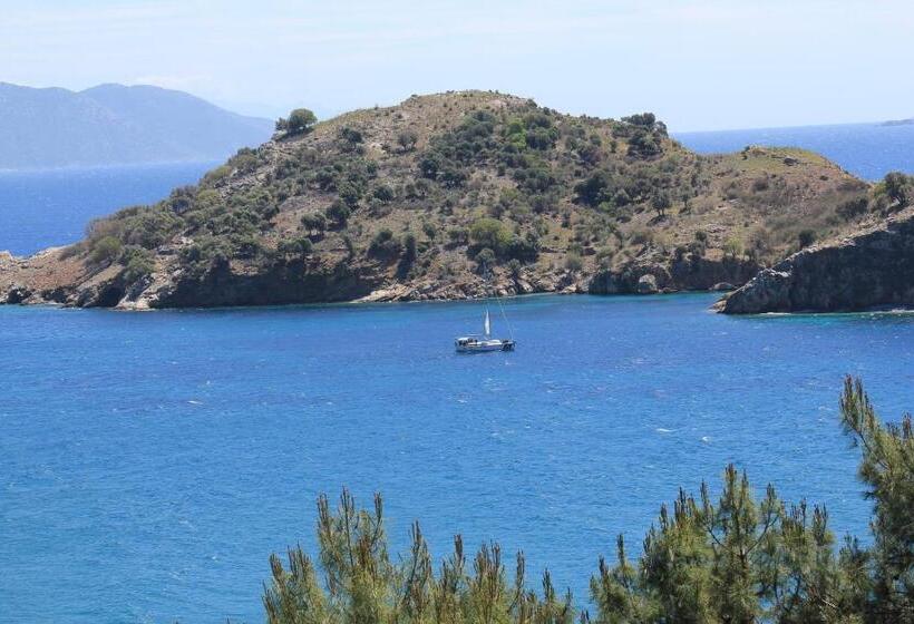 Отель Han Boutique