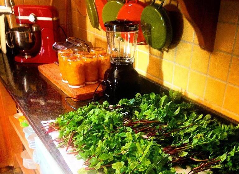 Отель Han Boutique