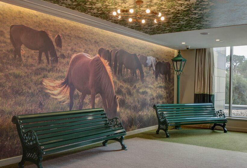 בית מלון כפרי Hilton Bournemouth