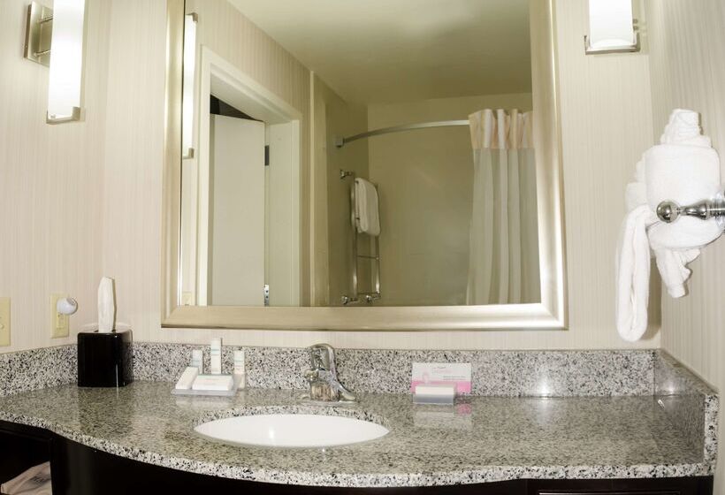 בית מלון כפרי Hilton Garden Inn Benton Harbor/st. Joseph