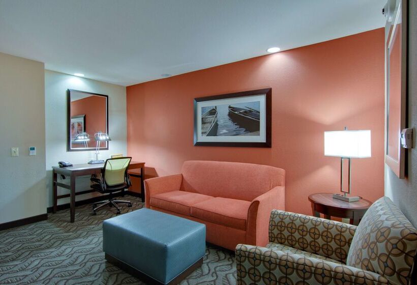 בית מלון כפרי Hilton Garden Inn Benton Harbor/st. Joseph