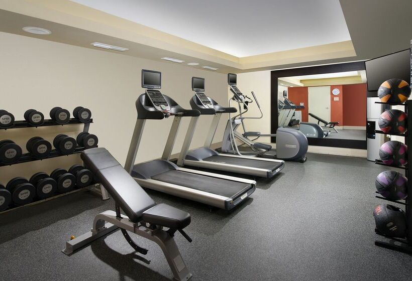 בית מלון כפרי Hilton Garden Inn Miami South Beach