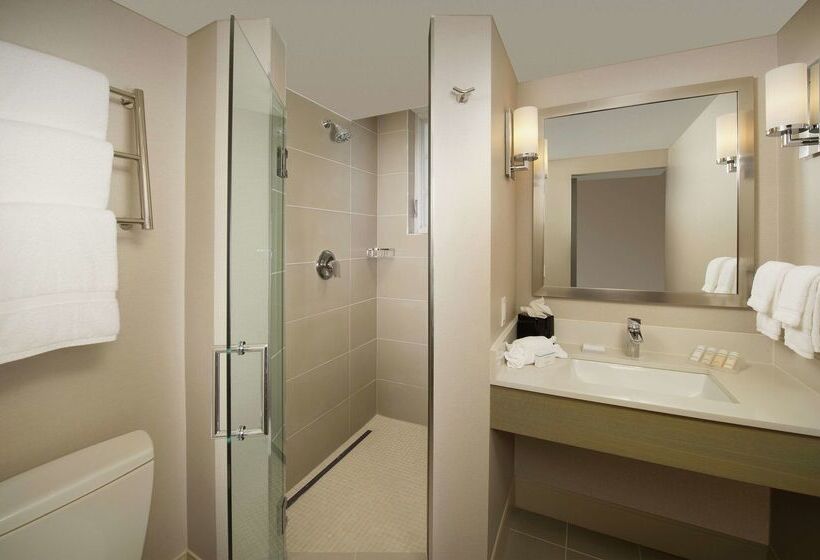 בית מלון כפרי Hilton Garden Inn Miami South Beach