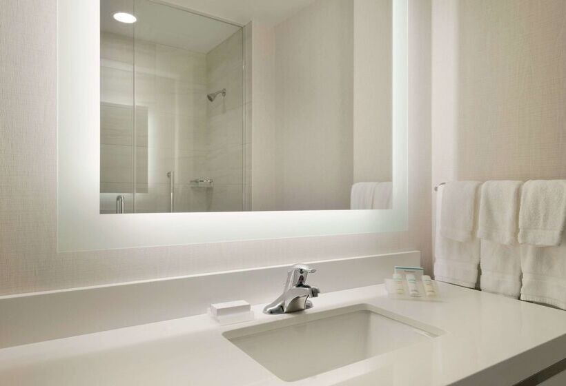 ホテル Hilton Garden Inn Rochester/university & Medical Center