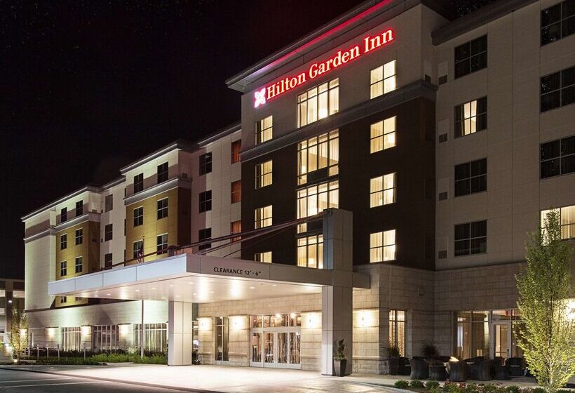 ホテル Hilton Garden Inn Rochester/university & Medical Center