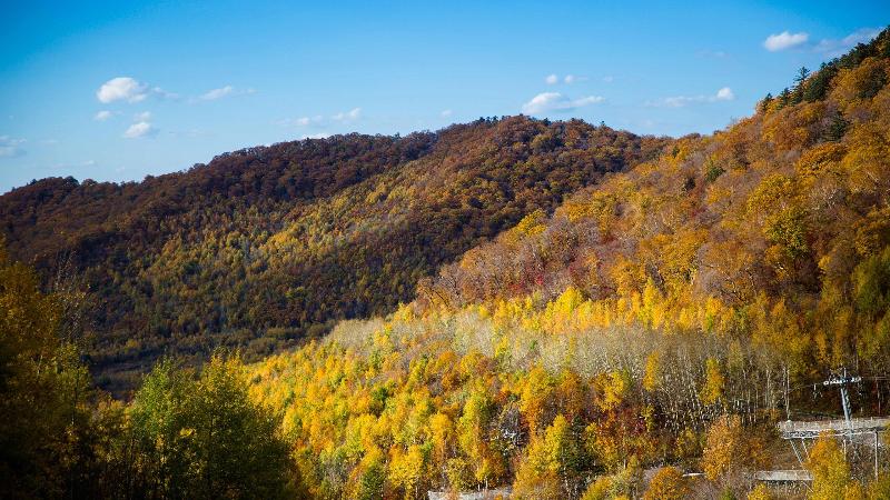 호텔 Holiday Inn Express Changbaishan, An Ihg