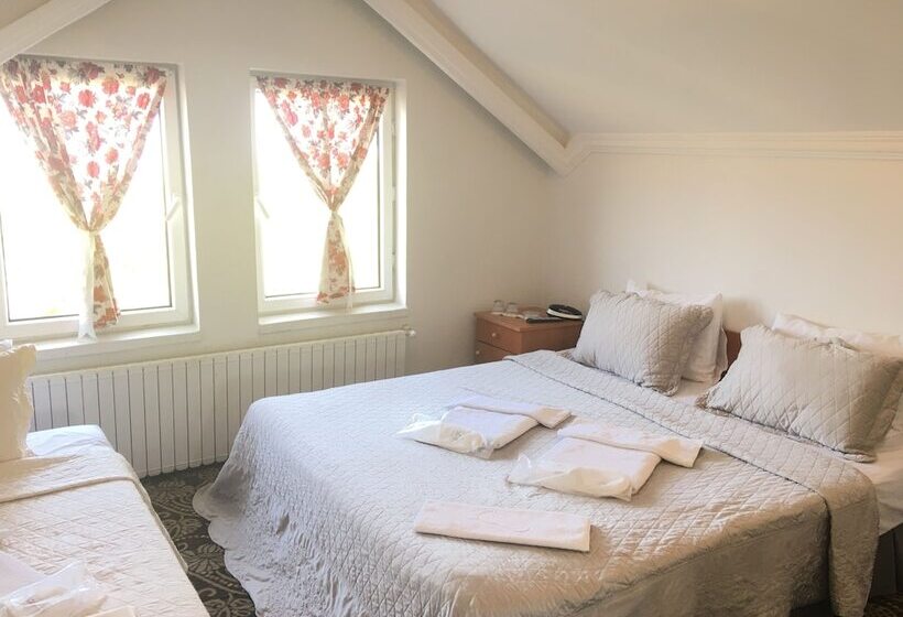 فندق Kartaltepe Boutique