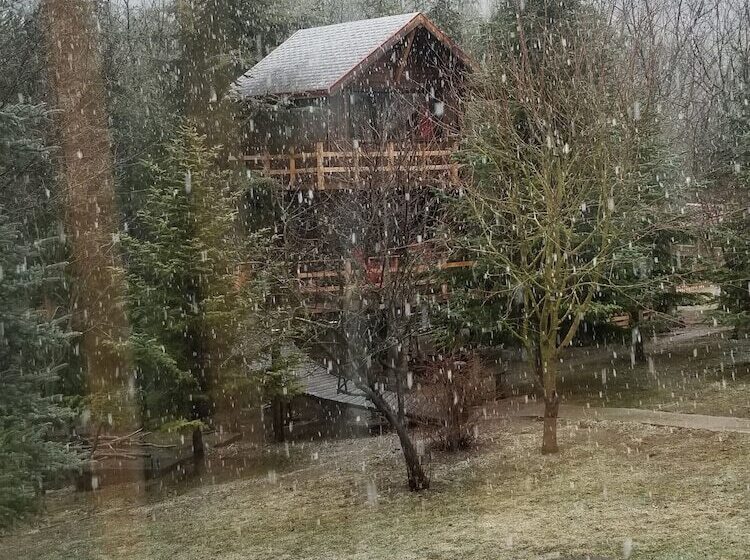 فندق Kartaltepe Boutique