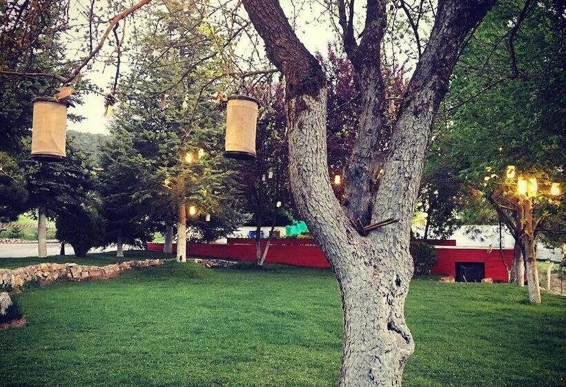 فندق Kartaltepe Boutique