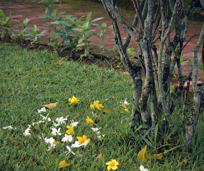 호텔 Villa Nam Song