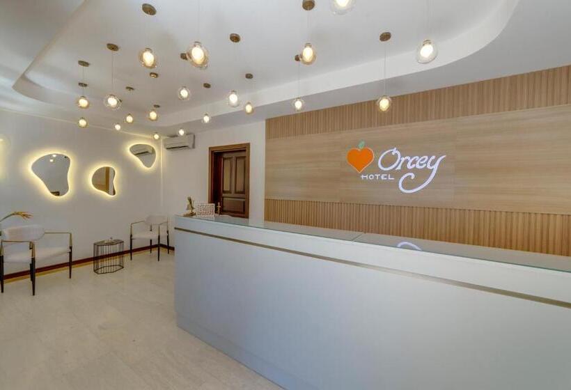 酒店 Orcey