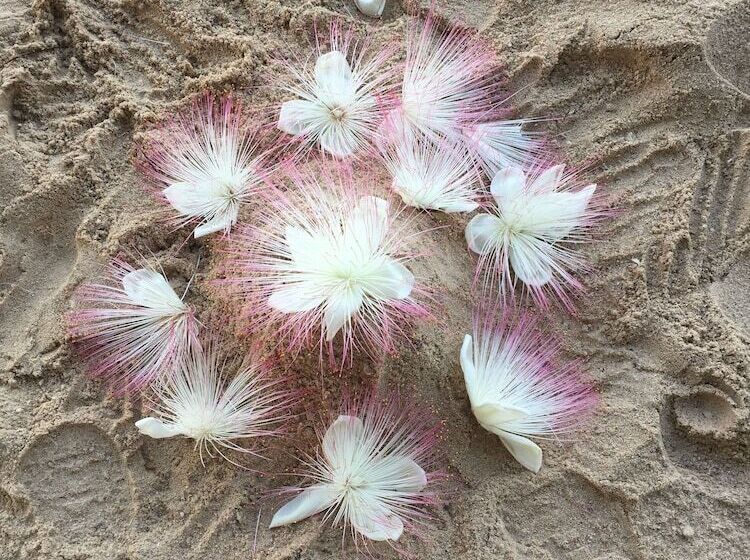 Szálloda Sairee Hut Resort Koh Tao