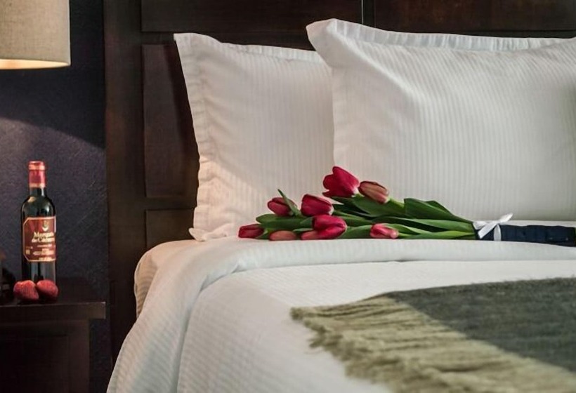 ホテル Suites Berna 12