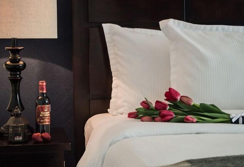 ホテル Suites Berna 12