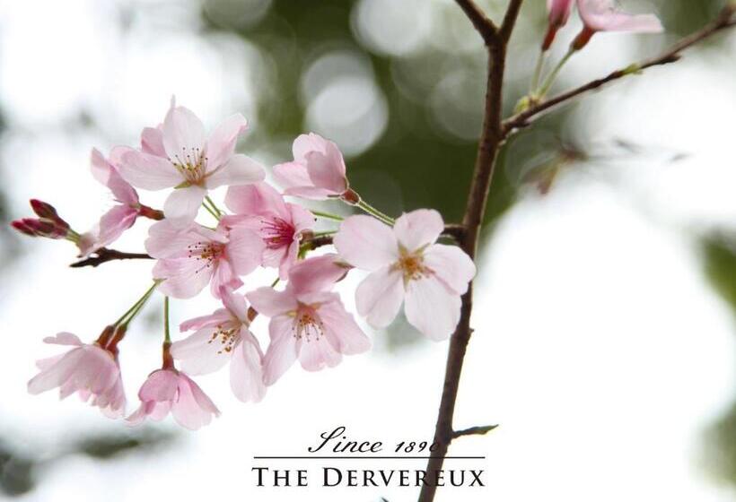 酒店 The Devereux Boutique