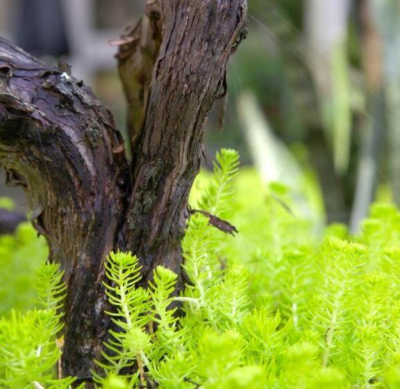 酒店 The Devereux Boutique