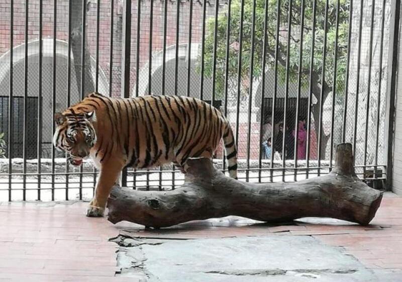 בית מלון כפרי The Nishat