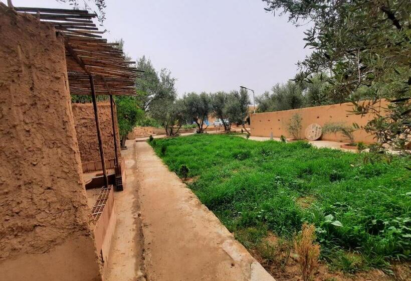 هاستل Gite Boukhalfa