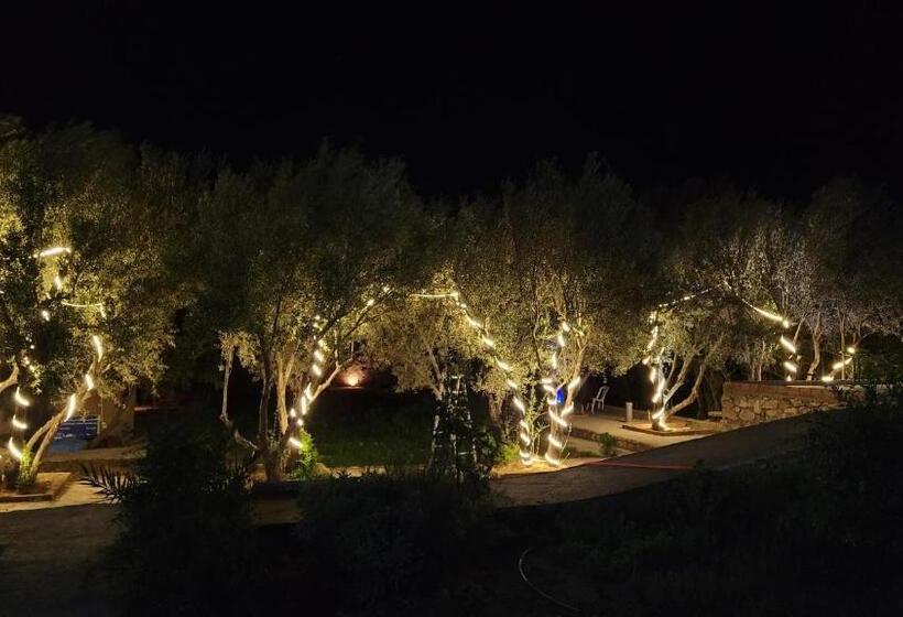 هاستل Gite Boukhalfa