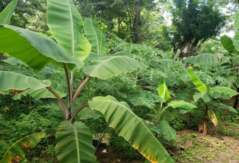 ベッドアンドブレックファースト One Privatre Room/br In A Private House In Balgue