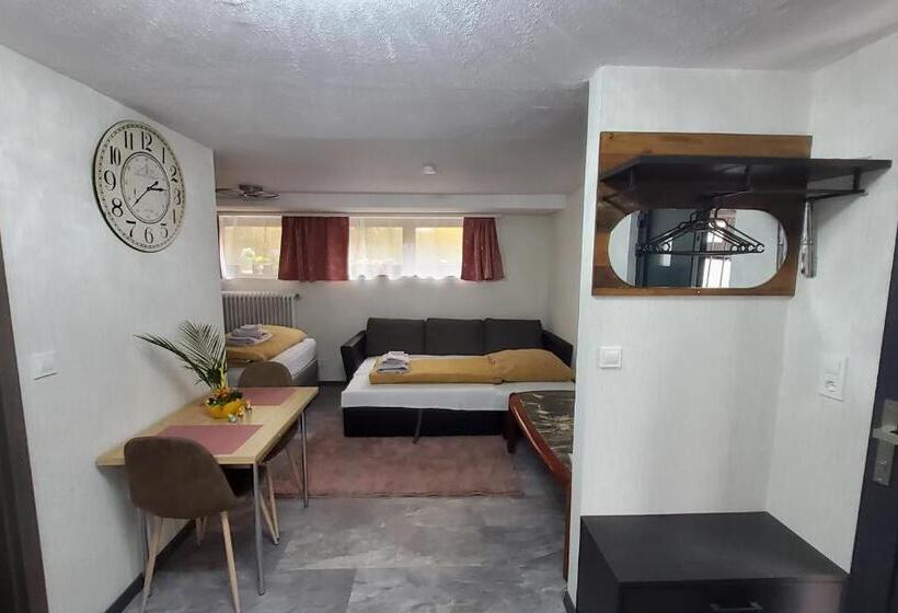 بنسيون Brodovskiy  Apartment