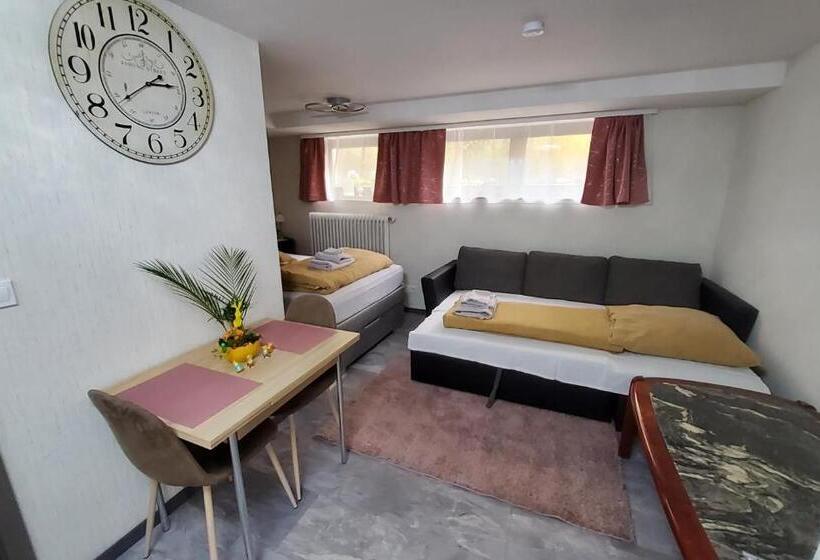 بنسيون Brodovskiy  Apartment