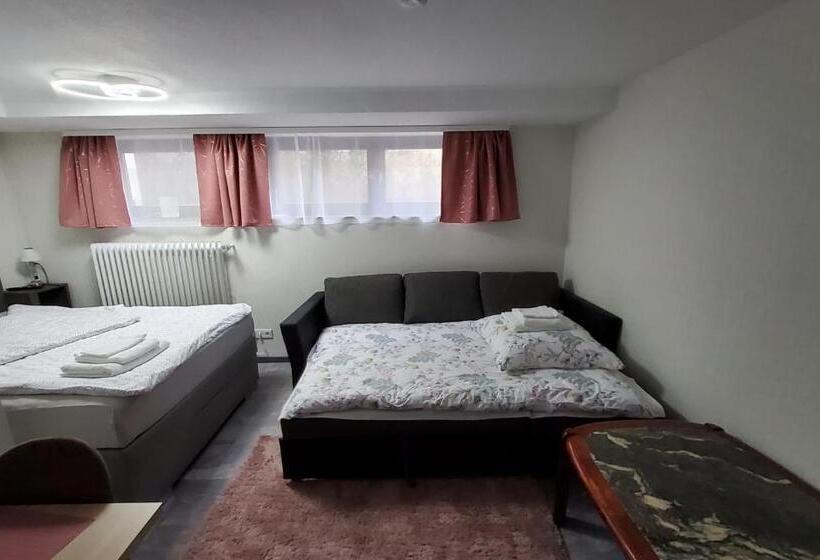 بنسيون Brodovskiy  Apartment