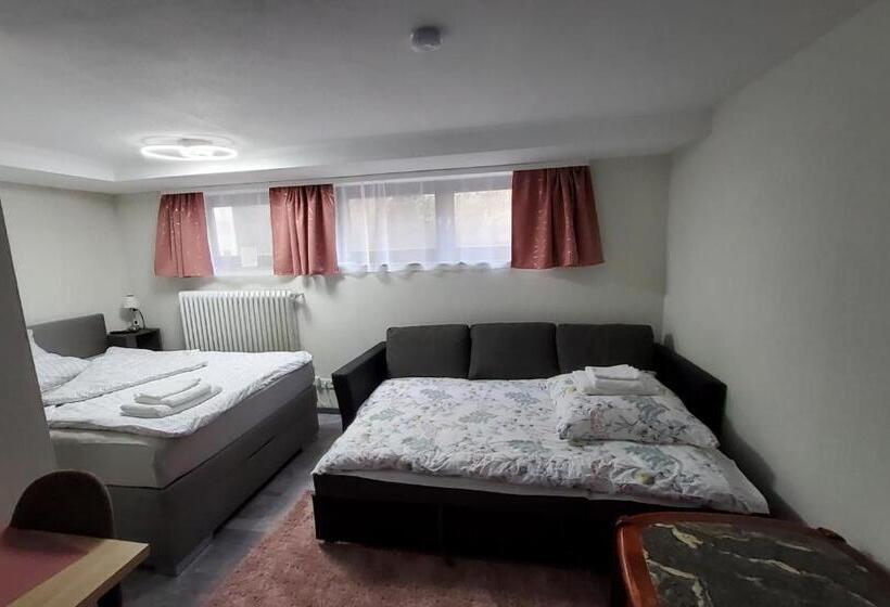 بنسيون Brodovskiy  Apartment