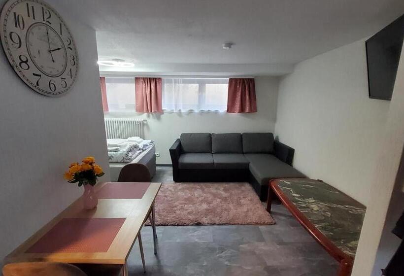 بنسيون Brodovskiy  Apartment