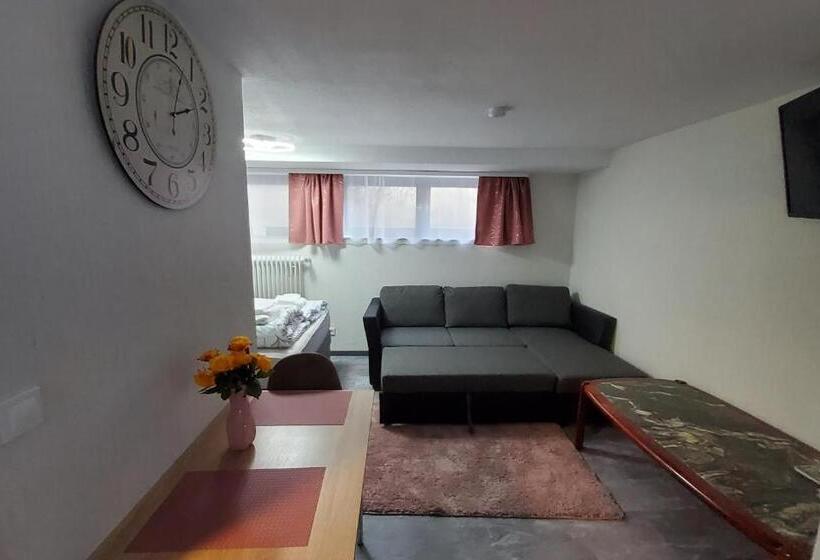 پانسیون Brodovskiy  Apartment
