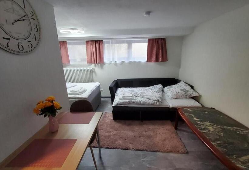 بنسيون Brodovskiy  Apartment