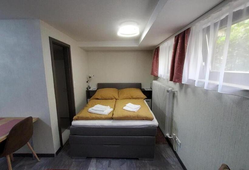 بنسيون Brodovskiy  Apartment