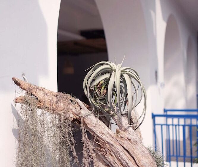 פנסיון Little Mykonos