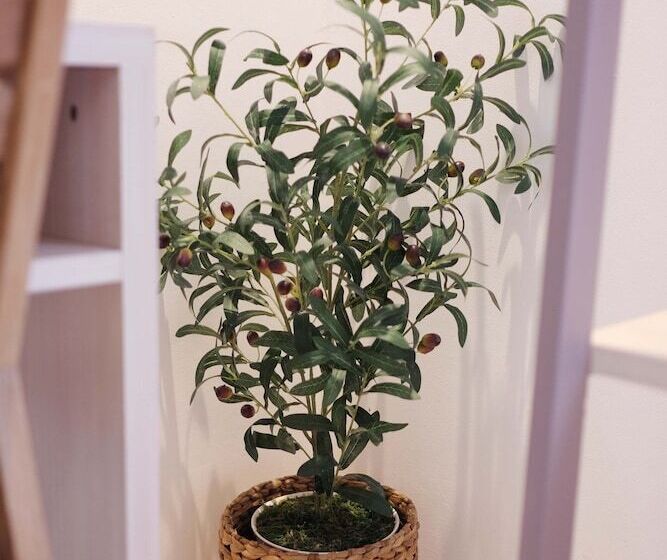 پانسیون Little Mykonos