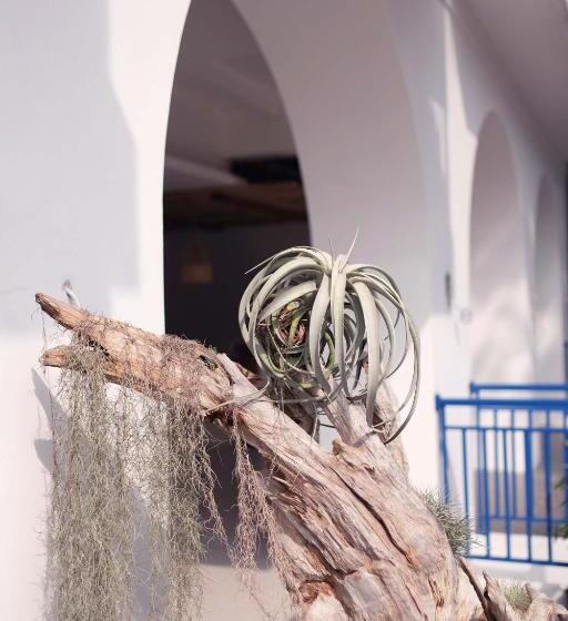 פנסיון Little Mykonos