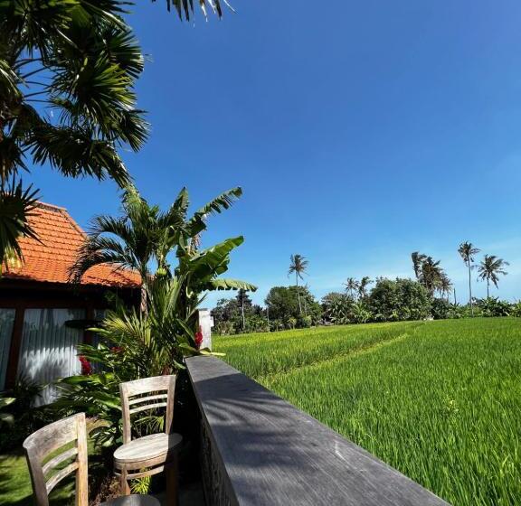 פנסיון Rich Village