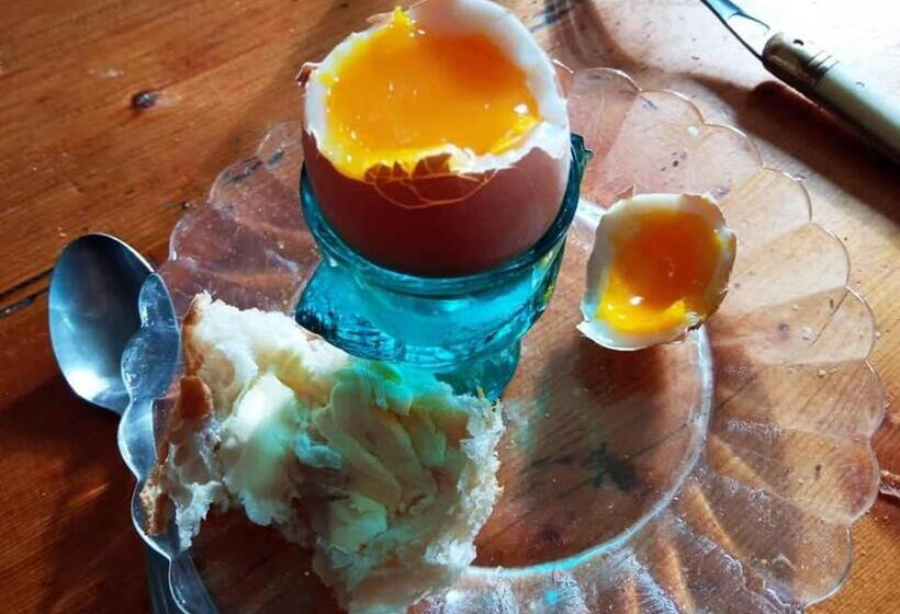 ベッドアンドブレックファースト Mysaintaubin